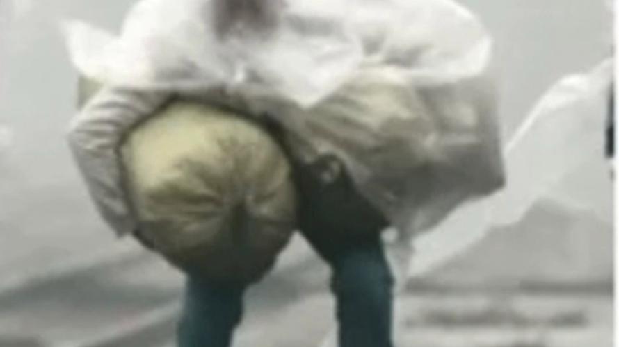 admin 第51页