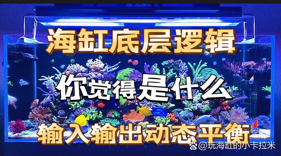 下载中心 第10页