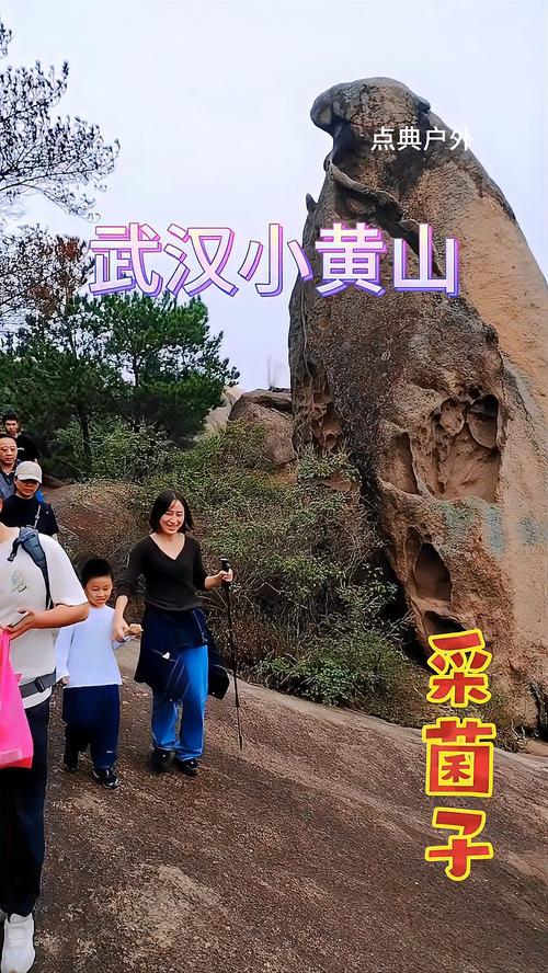 黄山3天捡18个孩子,黄山3天捡18个孩子是真的吗